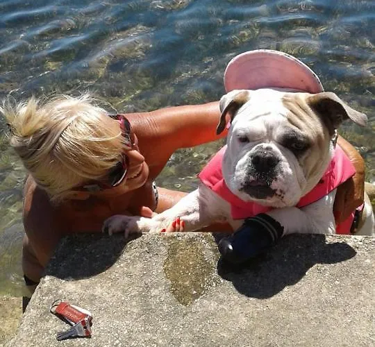 House Kapetan Nono *