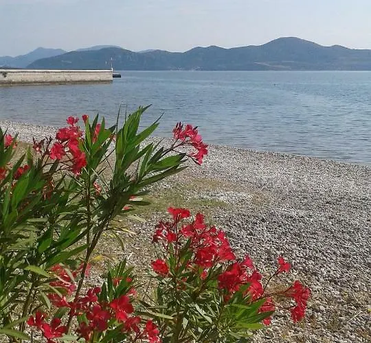 House Kapetan Nono Drače